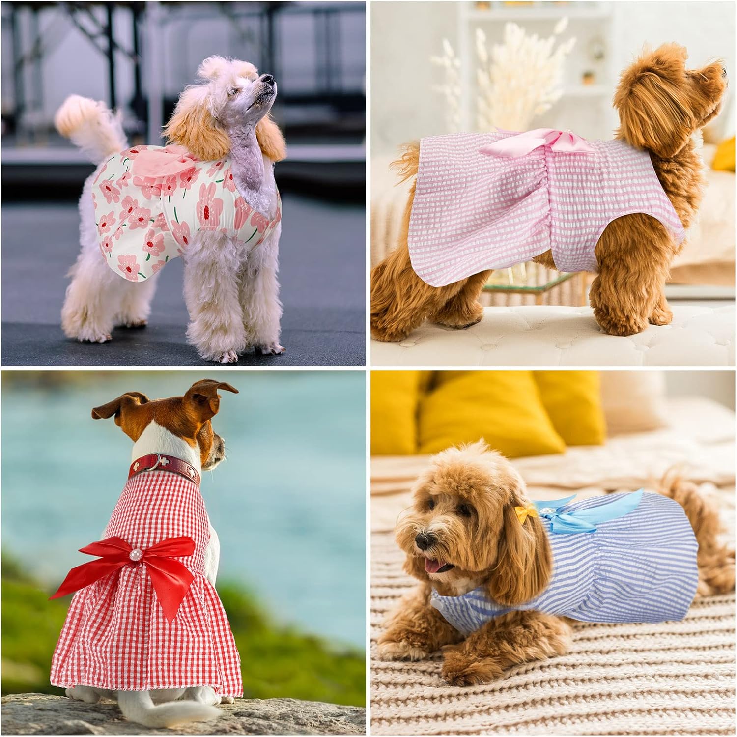 Comfortable polyester princess dresses for small puppies close up look
