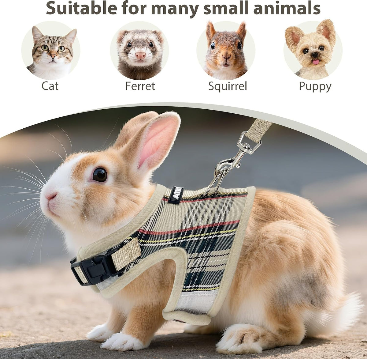 Aiitle breathable outdoor walking vest harness for puppy cat ferret