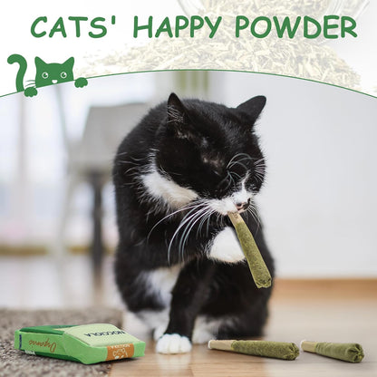 Durable catnip chew toy set for teething kittens