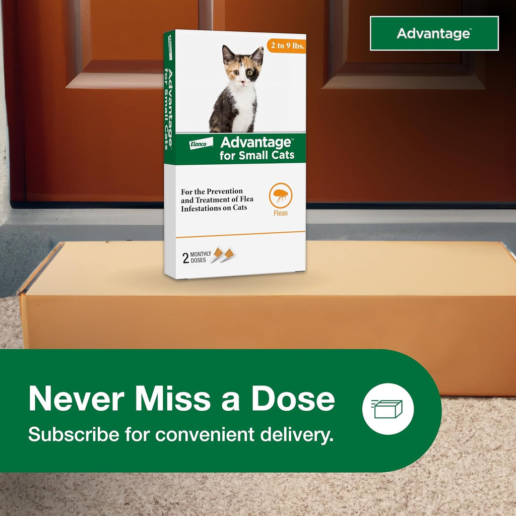 Advantage Topical Cat Flea Treatment and Prevention for Small Cats 2-9 lbs. | Apply Flea Drops Monthly | 2 Treatments - Image 9