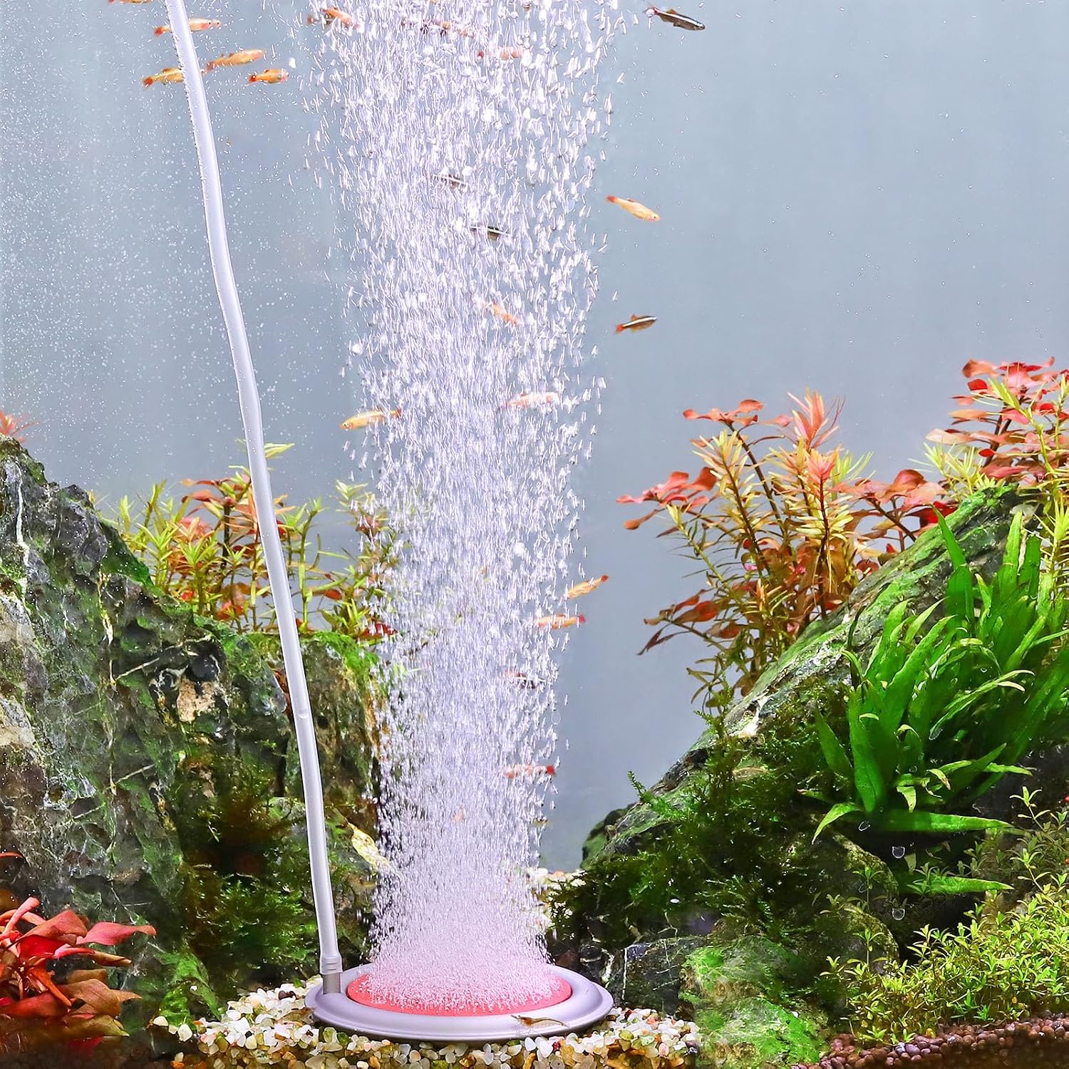 hygger Aquarium Air Stone, 4.1 Inch Nano Air Stone Makes Super Tiny Bubbles, Ultra Quiet Dissolved Oxygen Diffuser Small Airstone with Stainless Steel Base for Aquarium, Fish Tank & Hydroponic, Round - Image 13