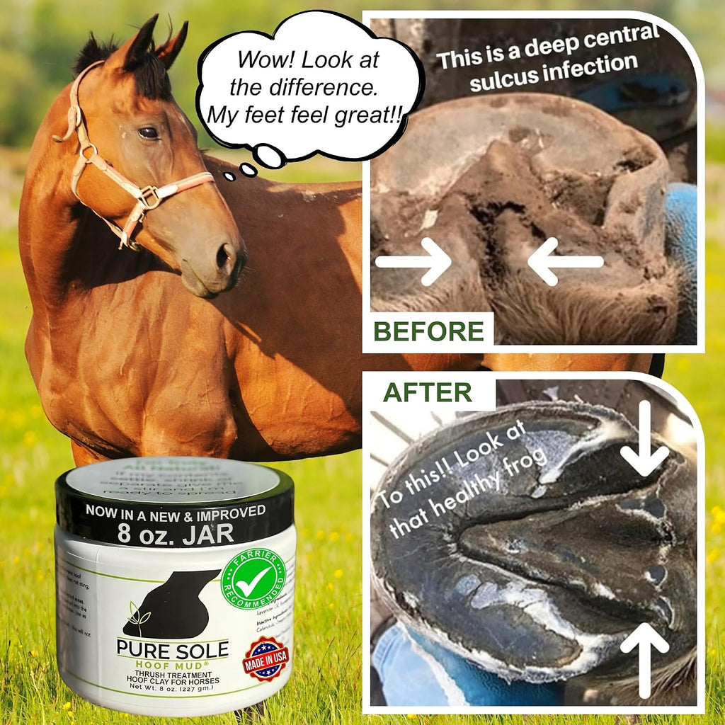 Application process of applying all-natural horse thrush treatment clay pack into the hoof central sulcus.