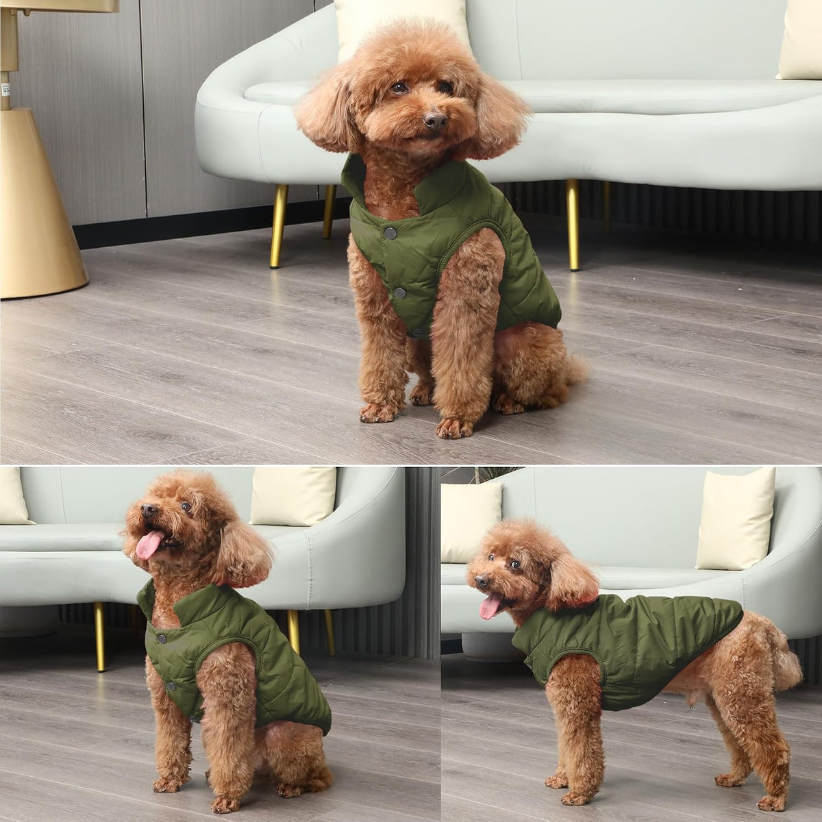 JoyDaog 2 Layers Fleece Lined Warm Dog Jacket for Puppy Winter Cold Weather,Soft Windproof Small Dog Coat,Green M - Image 9