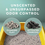 Activated charcoal infused Tidy Cats litter pour demonstration