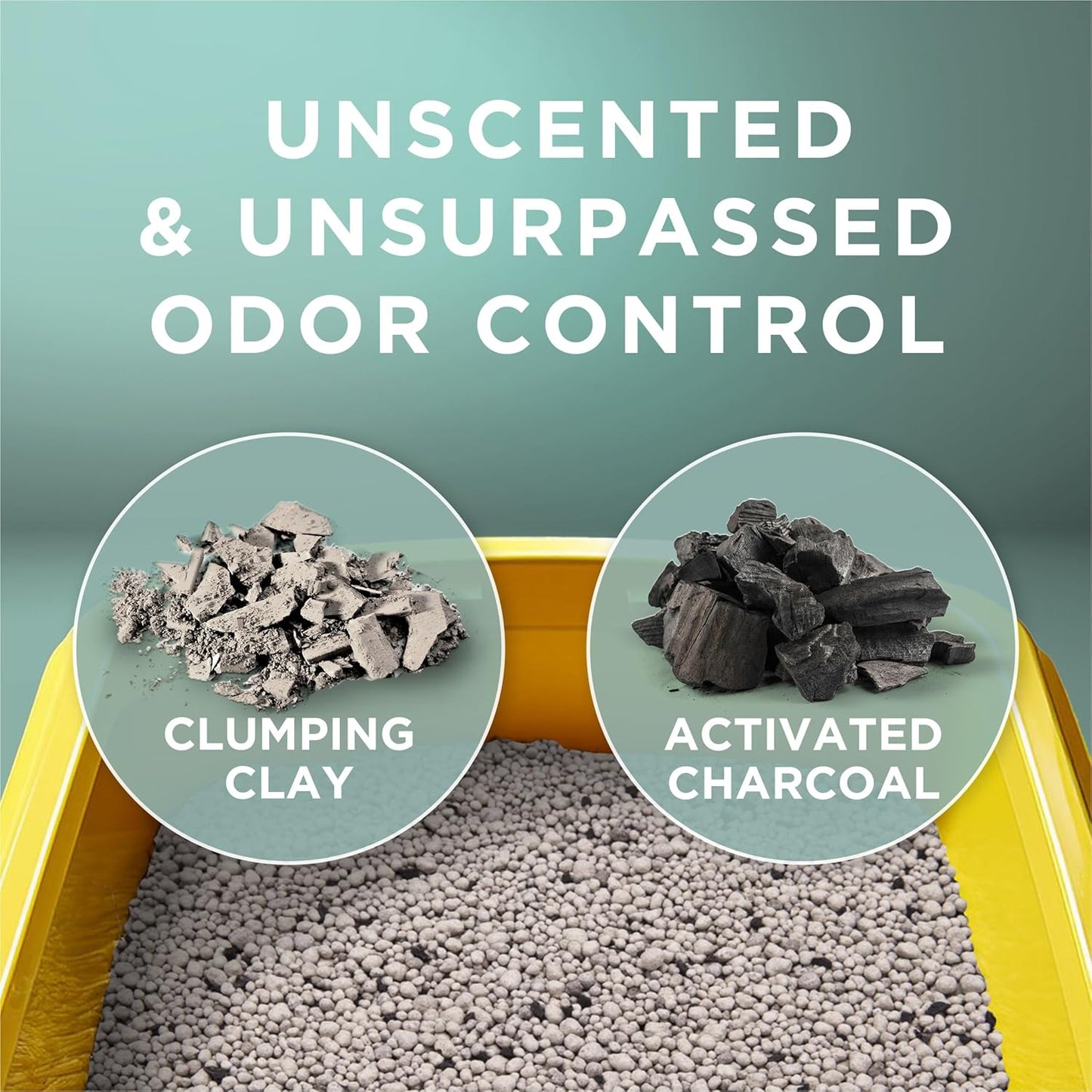Activated charcoal infused Tidy Cats litter pour demonstration