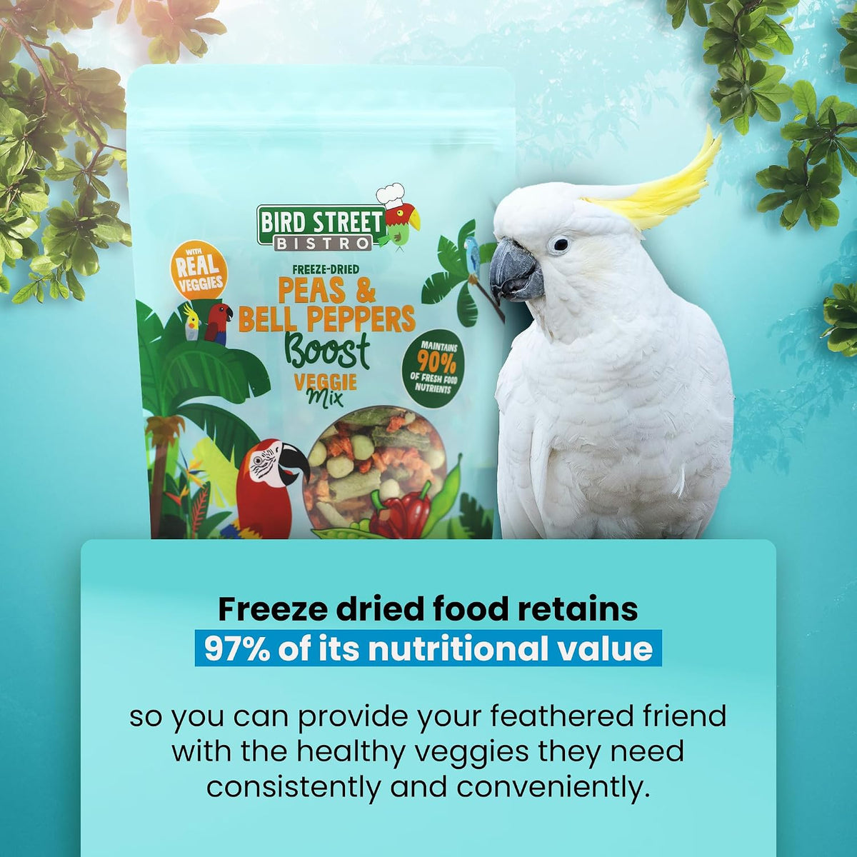 Bird Street Bistro vegetable supplement packaging back side