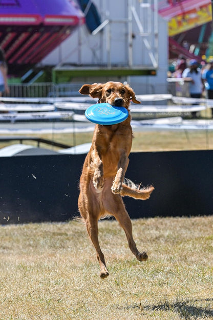 Hero Disc USA Super Sonic dog frisbee for distance training