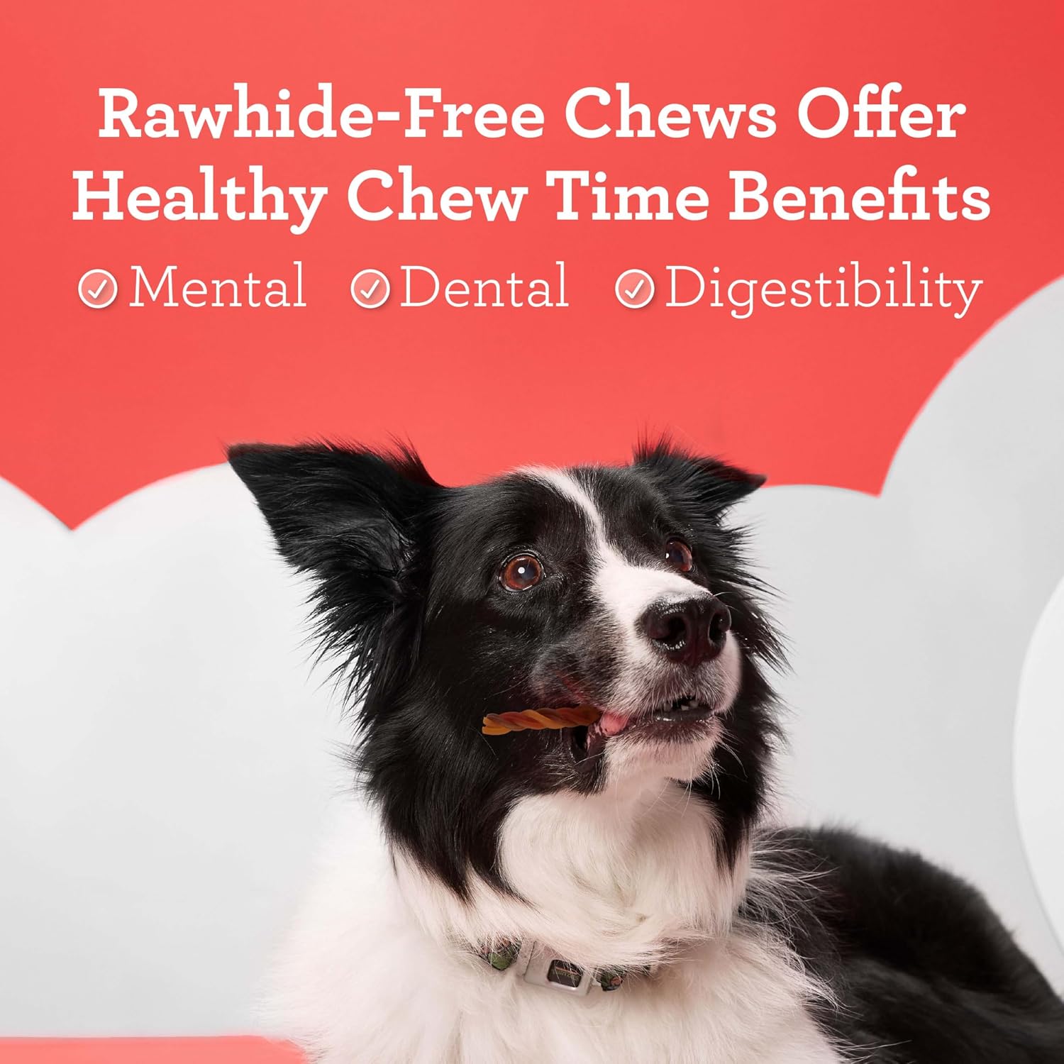 DreamBone rawhide free dog chews with real chicken beef and pork
