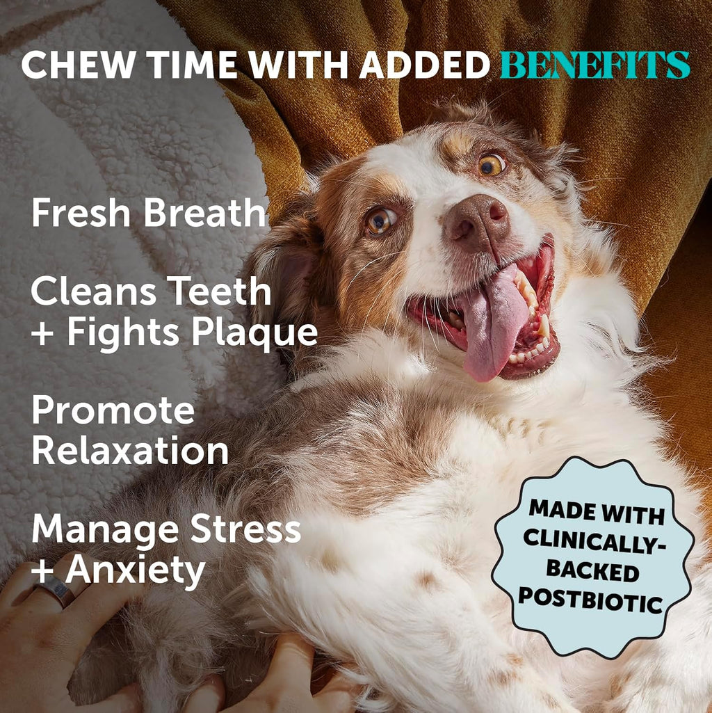 Pumpkin Peanut Butter dental sticks for dogs