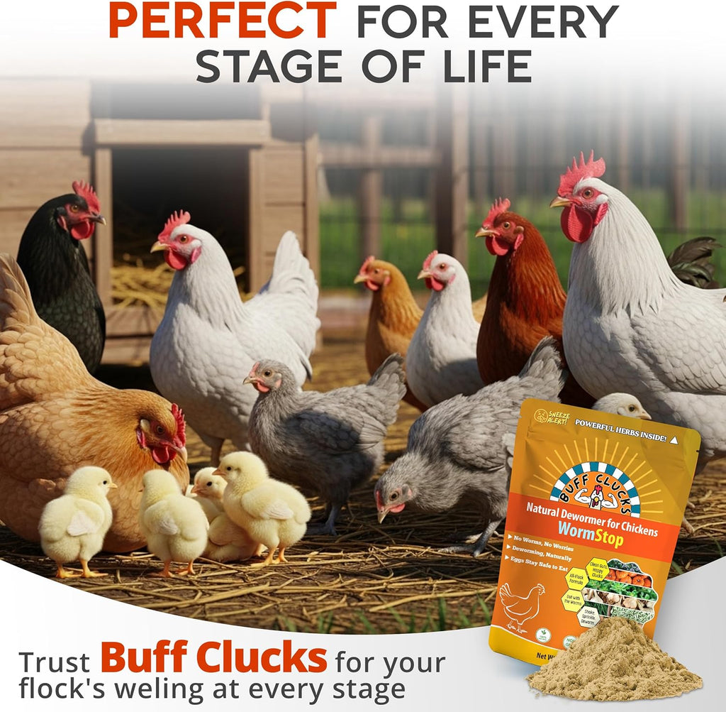 Buff Clucks WormStop packaging lifestyle view for backyard poultry care