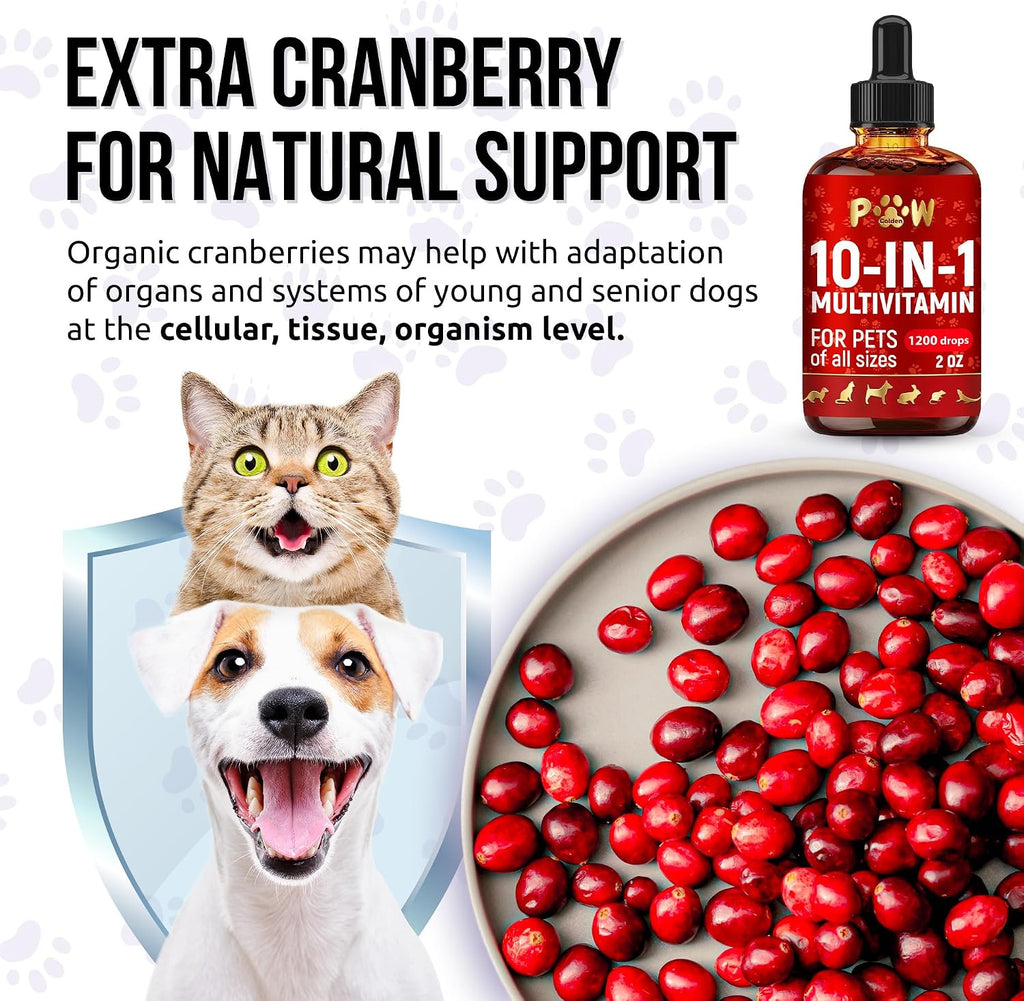 Graphic showing Golden Paw pet vitamin daily dosage instructions