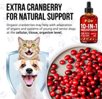 Graphic showing Golden Paw pet vitamin daily dosage instructions