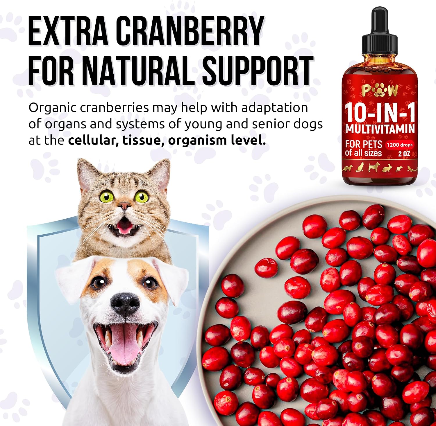 Graphic showing Golden Paw pet vitamin daily dosage instructions