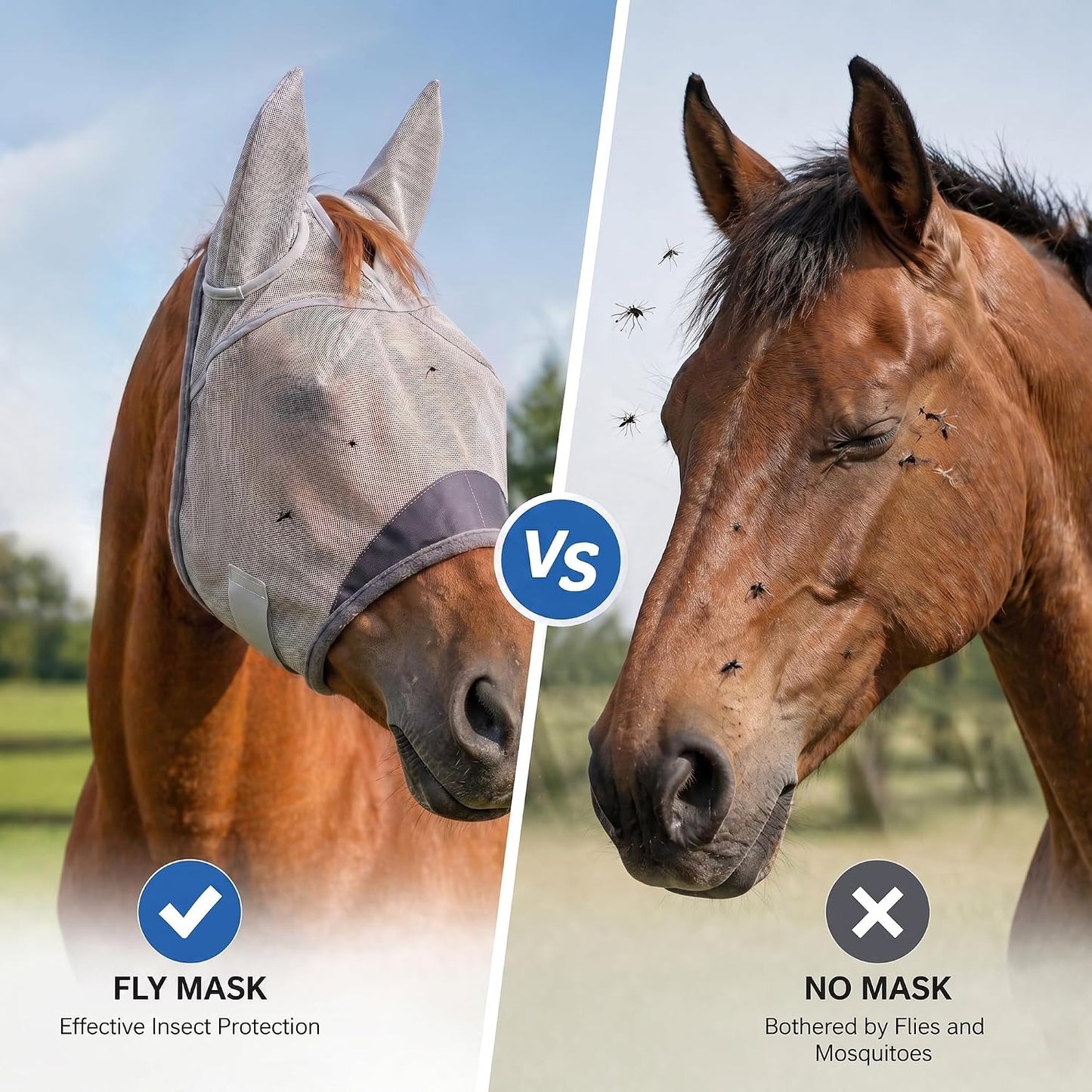 Side profile of horse wearing gray UV protection fly mask