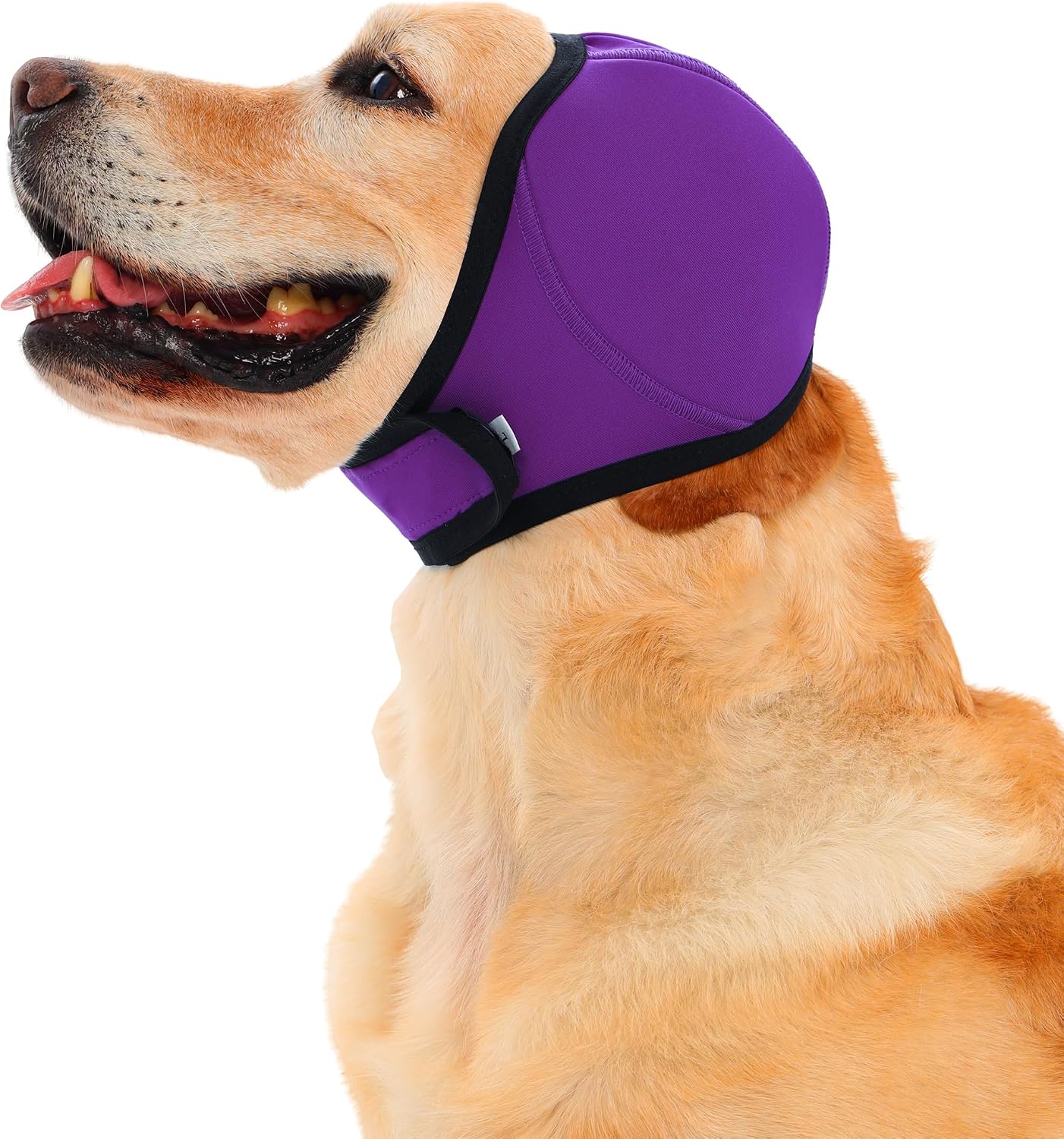 Meifsou no shake ear protector wrap on a dog during fireworks.