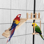 FrgKbTm Bird Perches Platform Swing with Climbing Ladder, Parakeet Cage Accessories Wooden Playing Gyms Exercise Sturdy for Small Birds - Image 2