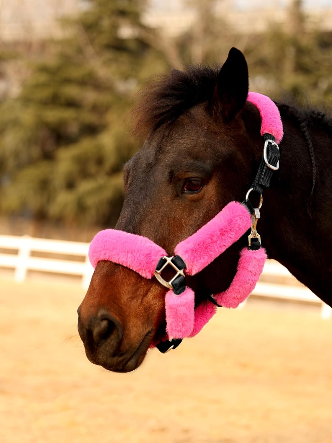 Harrison Howard Fleece Halter Covers for Horses, Set of 9, Prevent Hair Loss Pressure Marks, Padded Horse Halter Fleece Set Black - Image 13