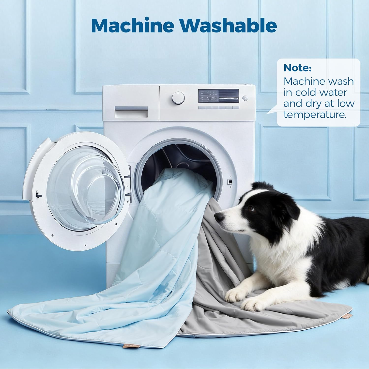 Machine washable pet blanket being placed into a washing machine container.