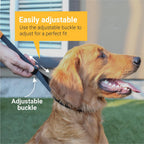 Rubber capped metal prongs on a black pet training collar.