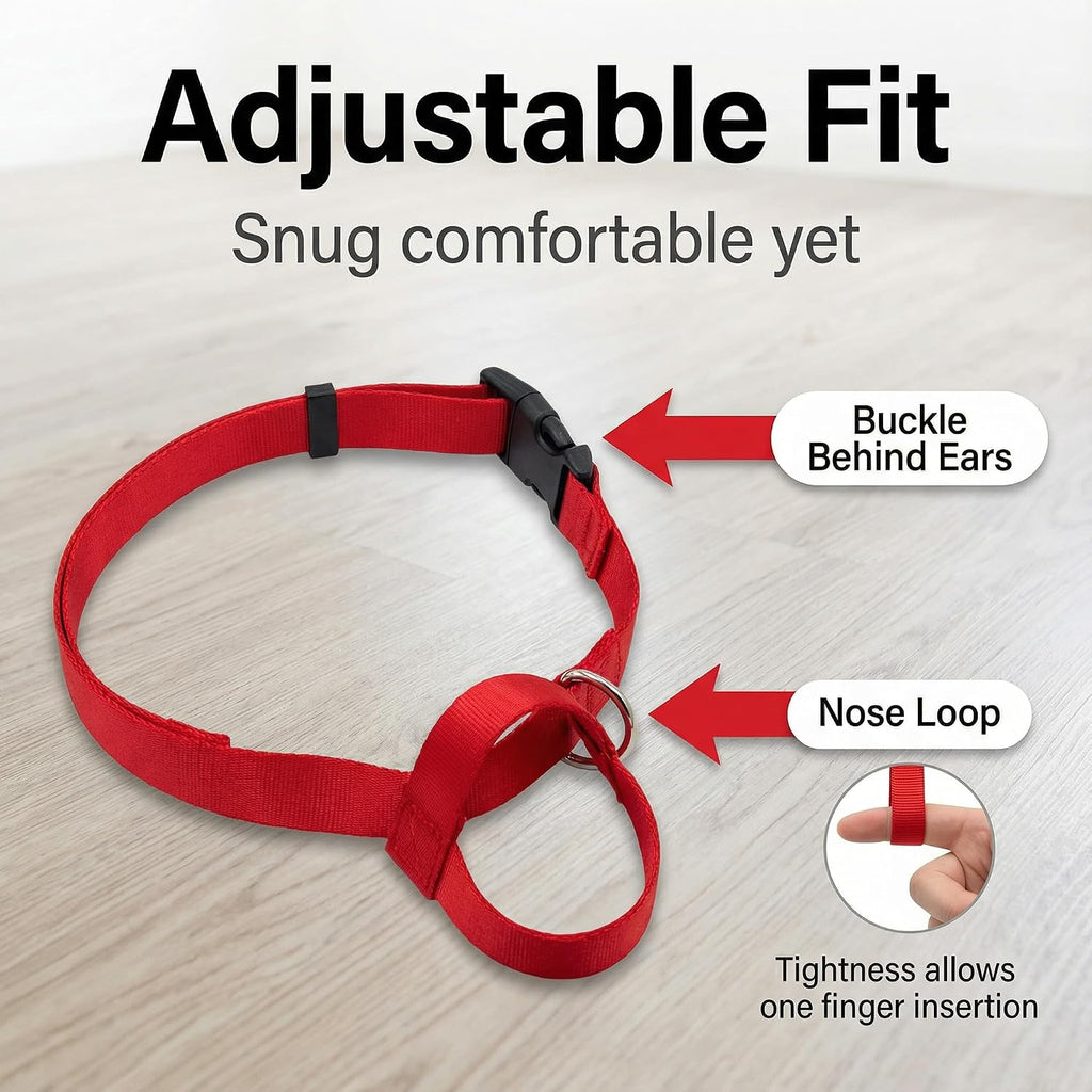 Zevey premium nylon pet head halter for daily walking control and training.