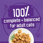 Nutritional information and feeding guidelines panel on cat food can