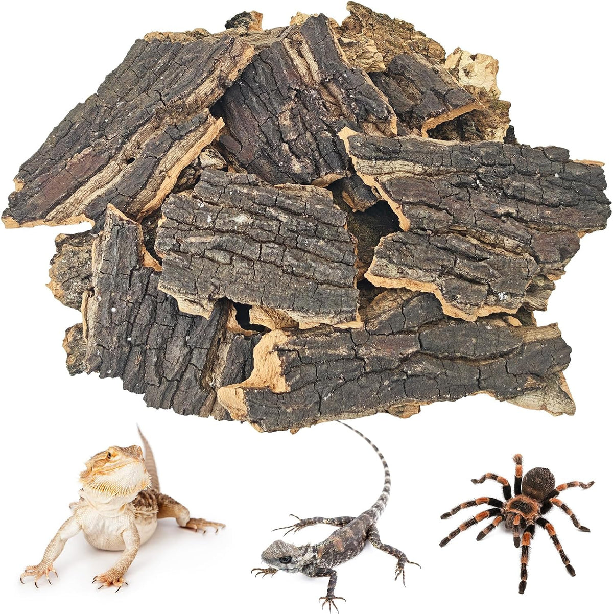 BNOSDM Reptile Cork Bark Substrate 1.5LB Lizard Bedding for Habitat Natural Flat Cork Wood Bulk Terrarium Reusable Bark Pieces for Chameleon, Ball Python, Crested Gecko, Spider, Tortoise, Tree Frog - Image 10