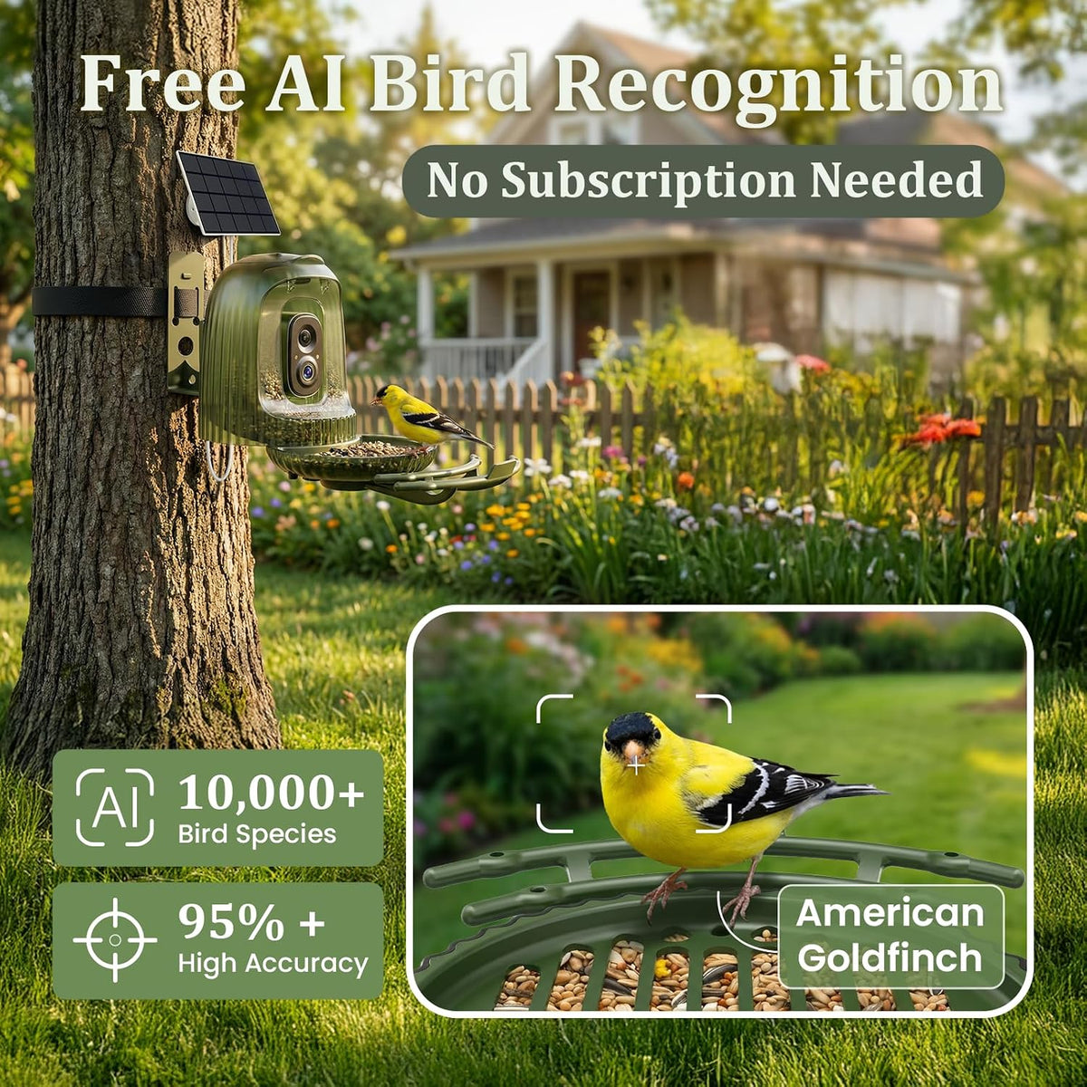 Smart Bird Feeder with Camera Solar Powered, Auto Capture 2.5K Videos - Image 4