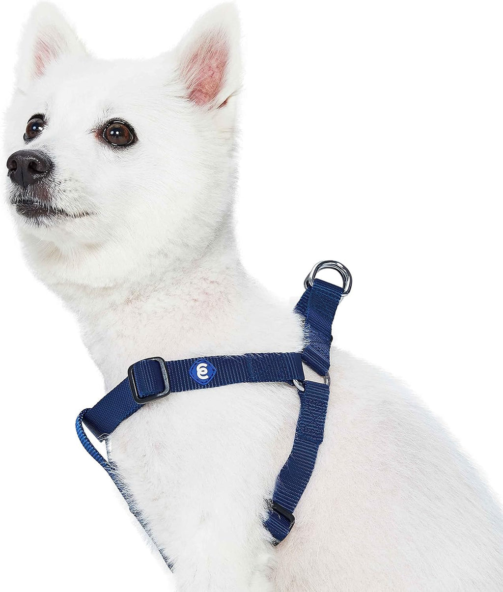 Blueberry Pet harness hardware and secure closure details
