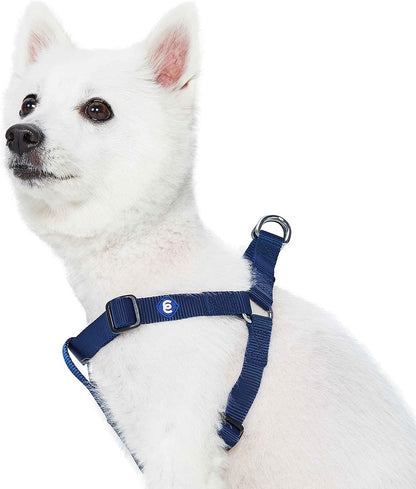 Blueberry Pet harness hardware and secure closure details