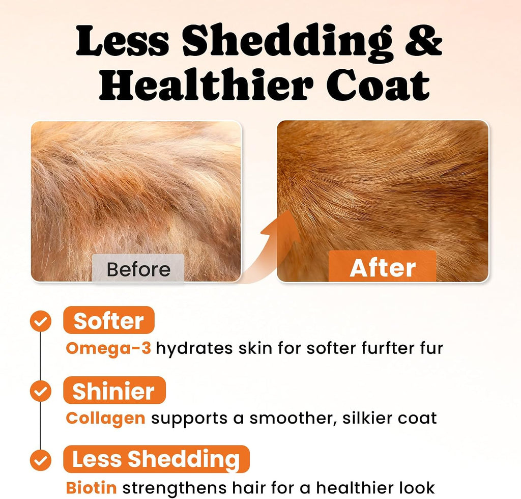 Buddycheer daily health formula packaging showing joint mobility and skin support benefits for senior cats.