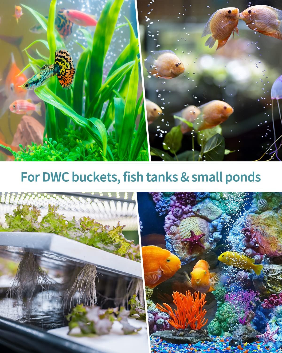 Pawfly ceramic bubbler discs for deep water culture reservoirs