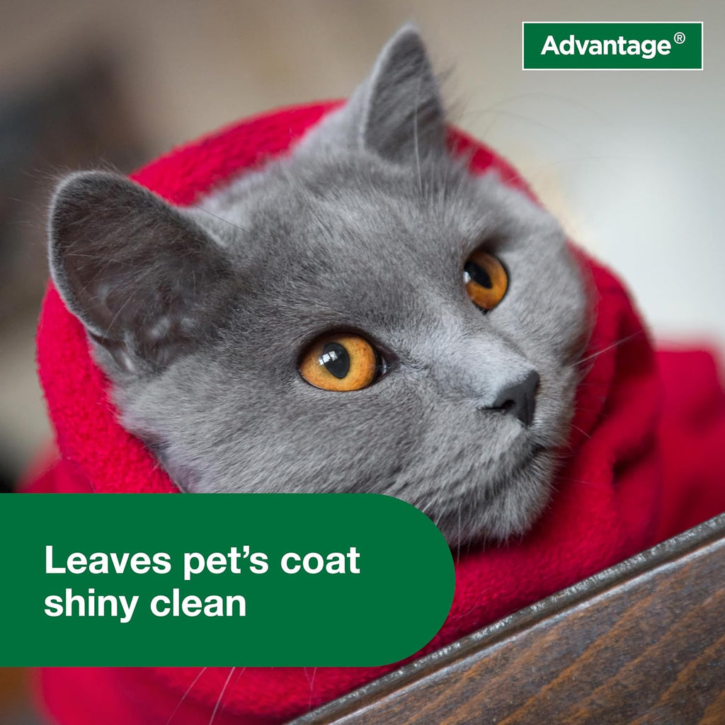 Close up of active ingredients on Advantage cat shampoo