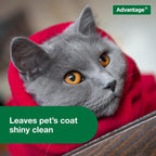 Close up of active ingredients on Advantage cat shampoo