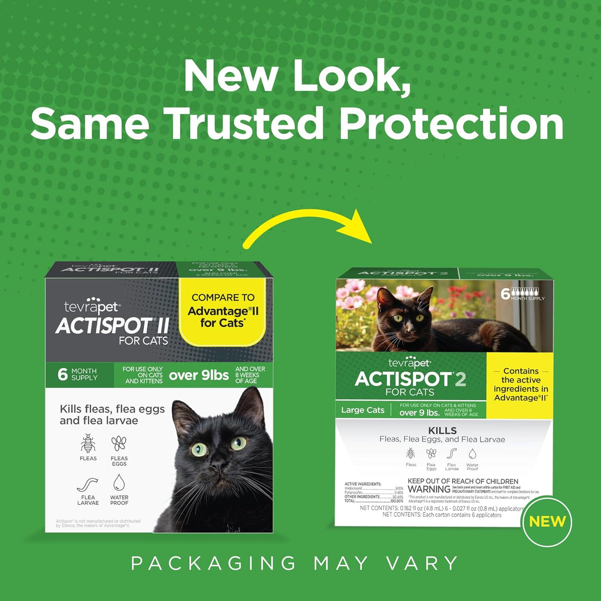 Step by step application guide on the back of TevraPet Actispot II packaging for large cats