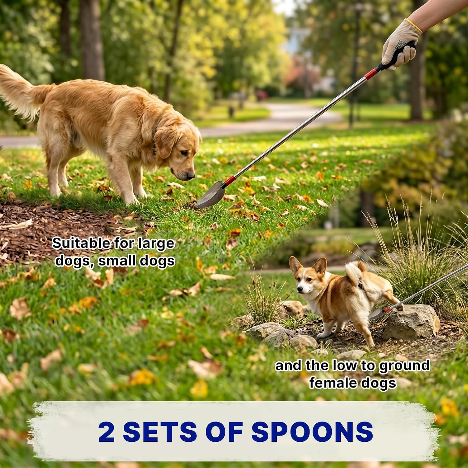 Leak proof collection cups included with QMARK pet urine stick
