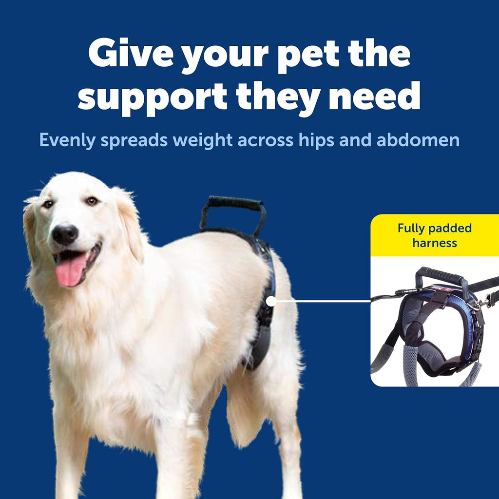 PetSafe rear support harness showing adjustable lifting handle