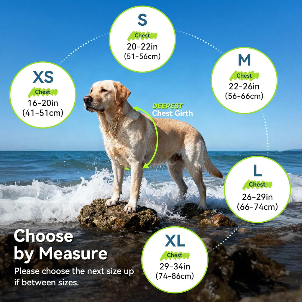 Vivaglory extra small dog safety jacket close up of durable neoprene material