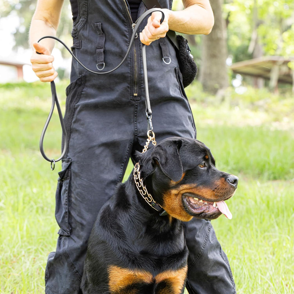 Herm Sprenger ClicLock buckle with protective black sliding jacket on a heavy-duty training collar