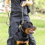 Herm Sprenger ClicLock buckle with protective black sliding jacket on a heavy-duty training collar
