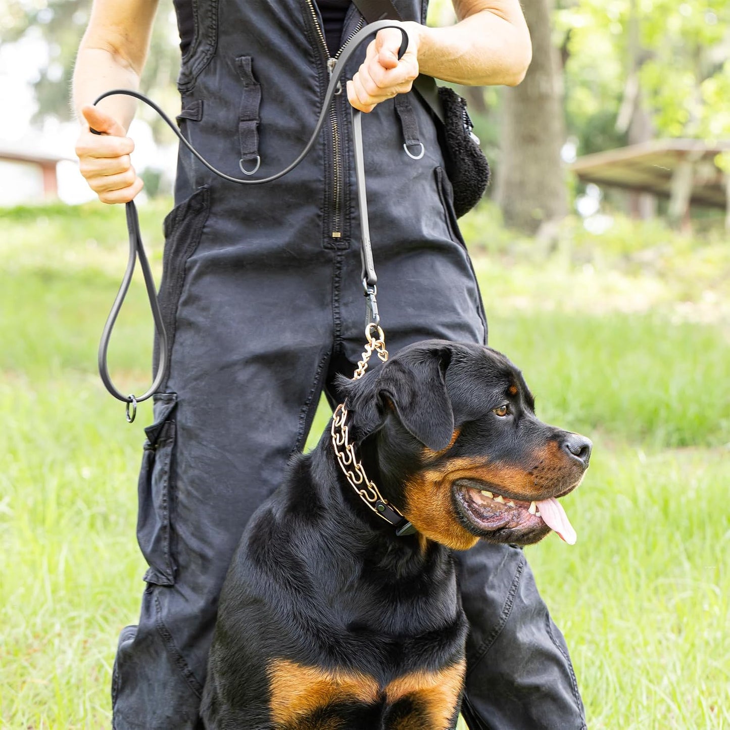 Herm Sprenger ClicLock buckle with protective black sliding jacket on a heavy-duty training collar