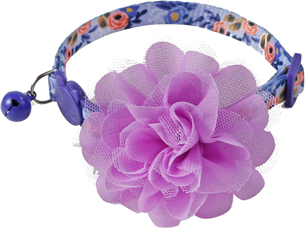 Full view of BoomBone floral pet collar styled for small dogs and cats
