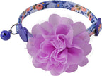 Full view of BoomBone floral pet collar styled for small dogs and cats