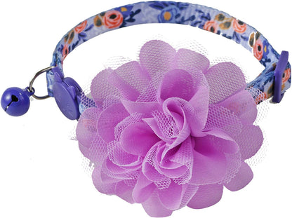 Close up of BoomBone pet collar breakaway safety buckle