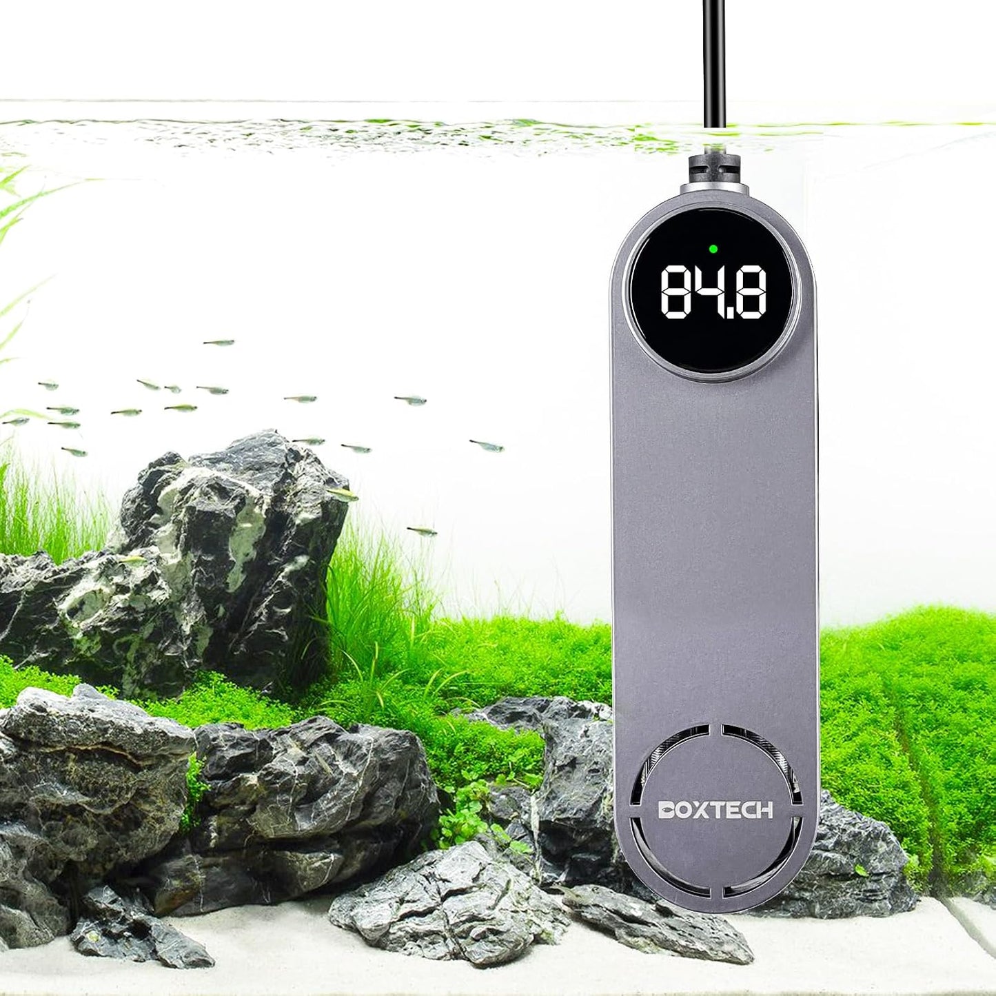 boxtech Small Fish Tank Heater - Mini Aquarium Heater, 50w Submersible Turtle Heater with Adjustable Temperature External Controller for 3 to 12 Gallon Betta Aquarium Tanks - Image 12