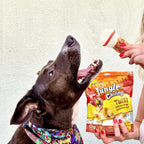 Jungle Calling Chicken Wrap Knotted Bones Dog Chews, Long Lasting Beefhide Treats Real Rawhide Bones for Large Dogs Edible Training Treats - Image 9