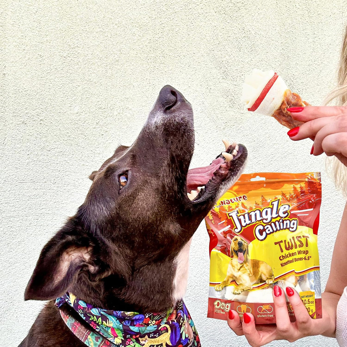 Jungle Calling Chicken Wrap Knotted Bones Dog Chews, Long Lasting Beefhide Treats Real Rawhide Bones for Large Dogs Edible Training Treats - Image 9