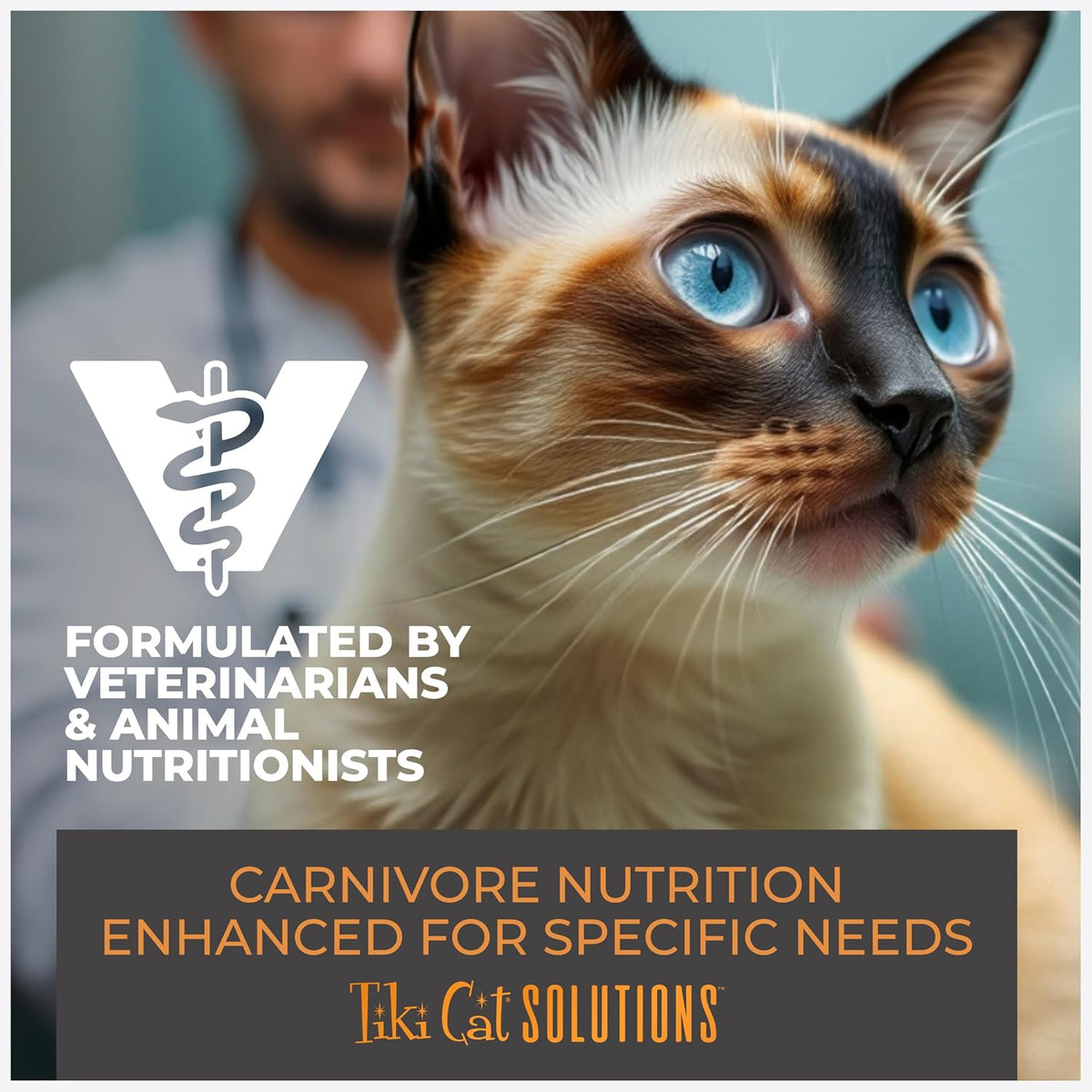 Tiki Cat Solutions Digestion Mousse, Chicken & Egg Recipe in Broth, Formulated to Support Healthy Digestion, Functional Wet Cat Food, 2.4 oz. Pouch (12 Count) - Image 9