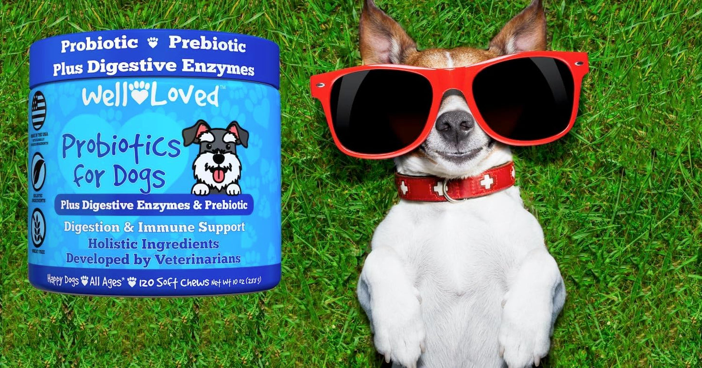 Well Loved Probiotics for Dogs, Dog Probiotics, Made in USA, Vet Developed for Gut Health, Yeast Balance, Itchy Skin, Diarrhea & Gas Relief, Chews with Prebiotic & Digestive Enzymes, Digestive Support - Image 9