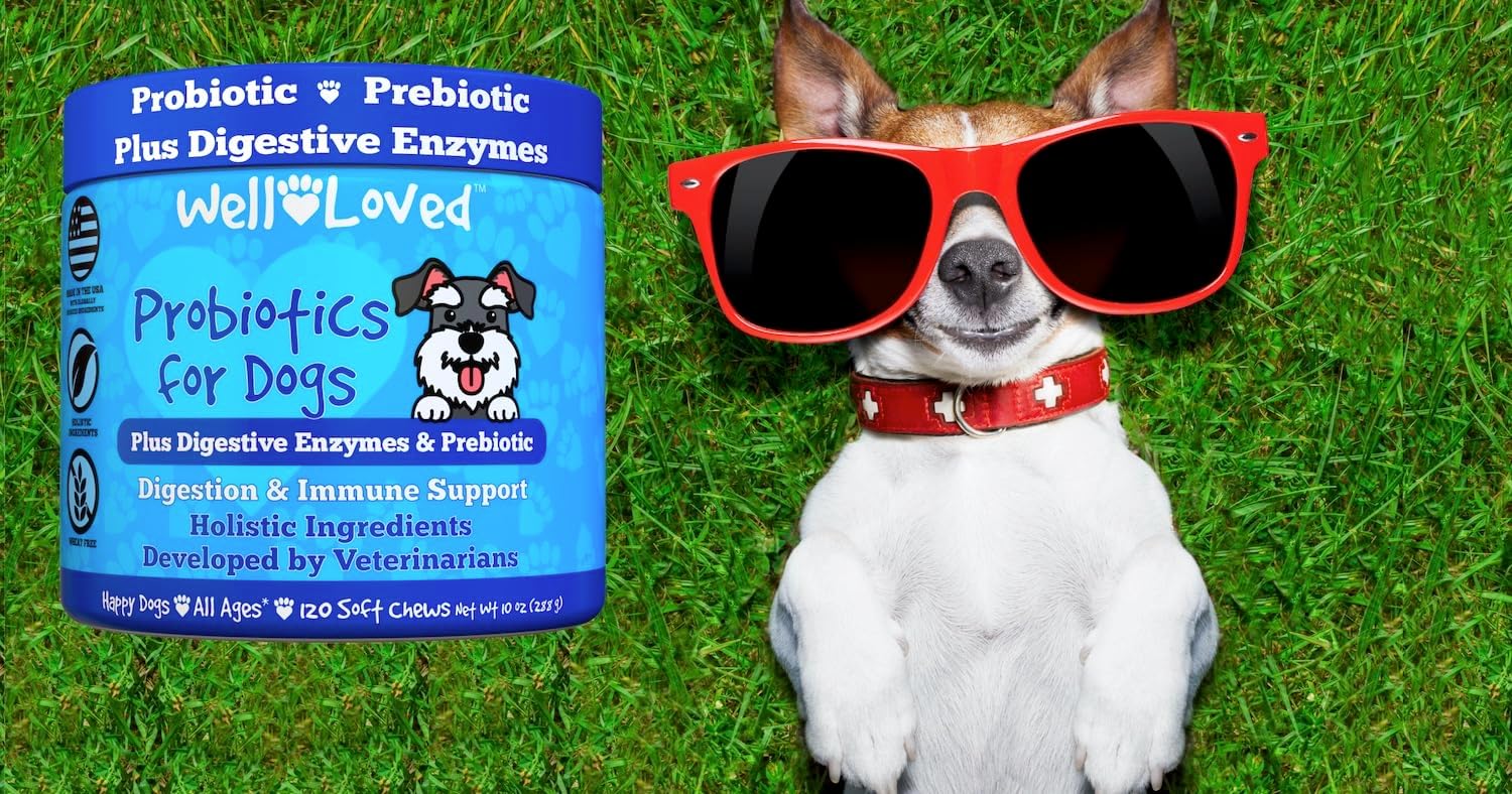 Well Loved Probiotics for Dogs, Dog Probiotics, Made in USA, Vet Developed for Gut Health, Yeast Balance, Itchy Skin, Diarrhea & Gas Relief, Chews with Prebiotic & Digestive Enzymes, Digestive Support - Image 9