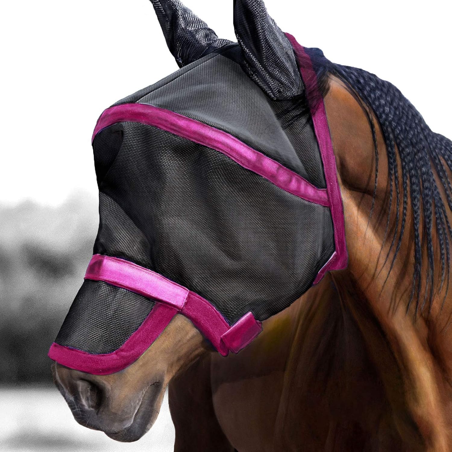 Black and purple Harrison Howard fly mask on display